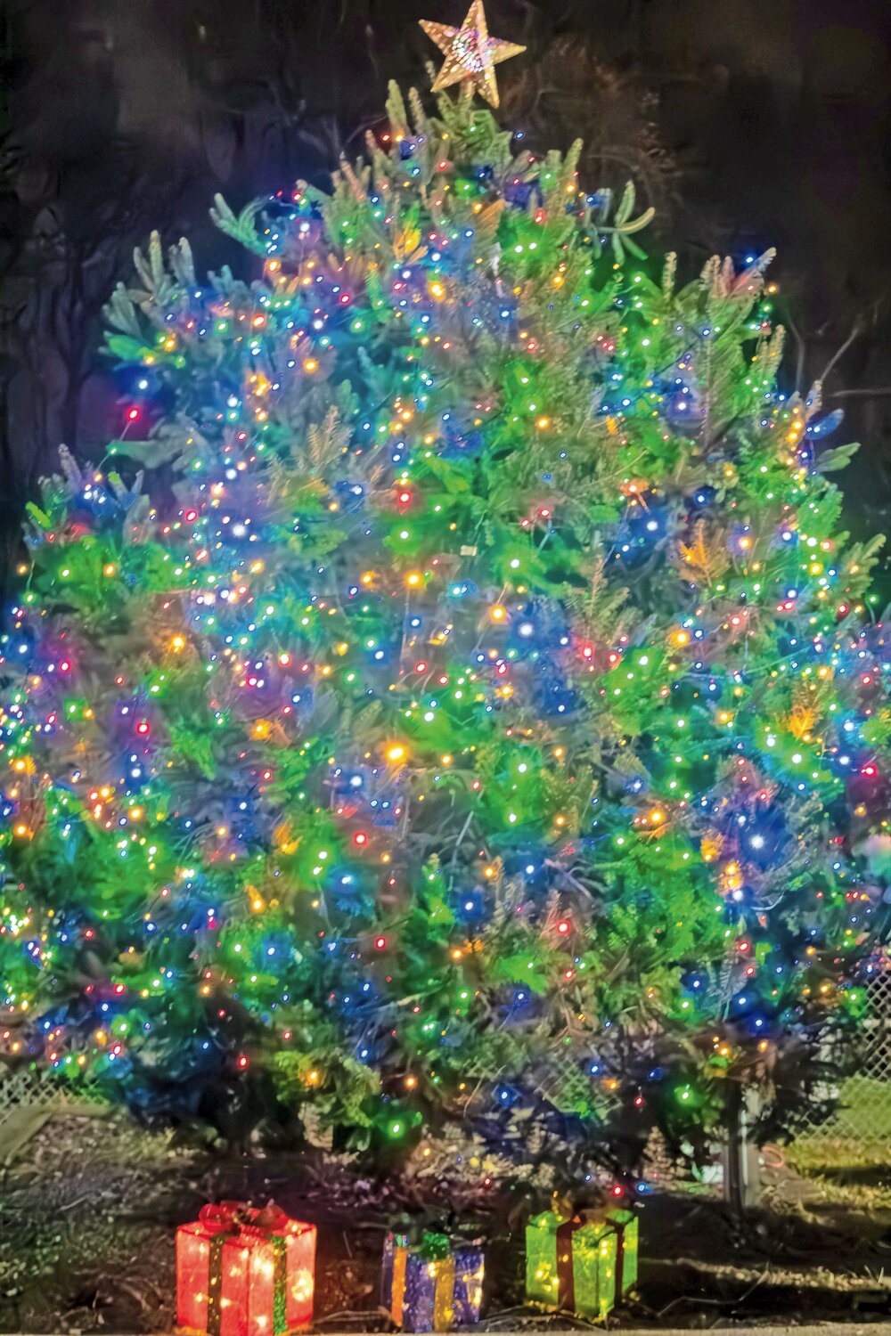 photos-the-holiday-spirit-is-ramping-up-herald-community-newspapers